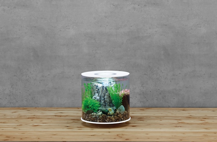 BiOrb Aquarium TUBE 15 LED