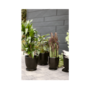 Vorschaubild Wikholm form Design Untersetzer schwarz 3er Set ⌀ 19/23/28,5 cm