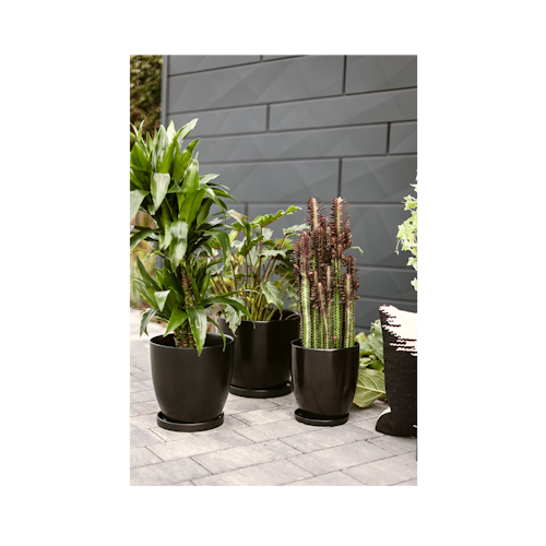 Wikholm form Design Untersetzer schwarz 3er Set ⌀ 19/23/28,5 cm