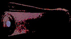 clavis® build it Teichvlies 500 g (bohrfest) Rollenware 2 x 50 m