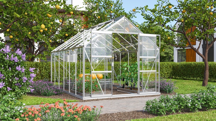 Vitavia Gewächshaus Mars 9900 inkl. 2 Dachfenstern - 9,9 m²