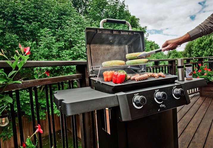 Broil King Gasgrill GEM 310 Shadow