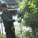 Vorschaubild Makita Akku-Heckenschere DUH523RF