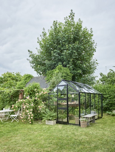 Halls Gewächshaus Burford 610 - 6,2 m² inkl. integrierten Fundamentrahmen