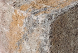 Diephaus Palisade SIOLA-MINI MUSCHELKALK 20/16,5/15 CM PE3