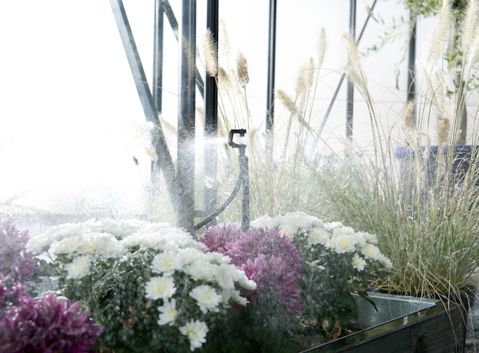 Vitavia Bewässerungsset / Bewässerungssystem CDK12 / MGS48 (für Gewächshäuser bis 8 m²)