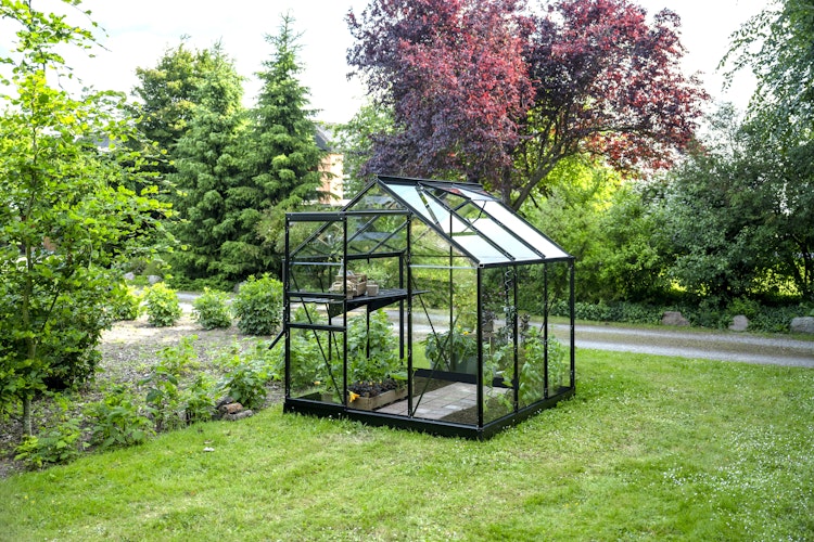 Halls Gewächshaus Popular - 3,8 m² / 5 m² / 6,2 m²