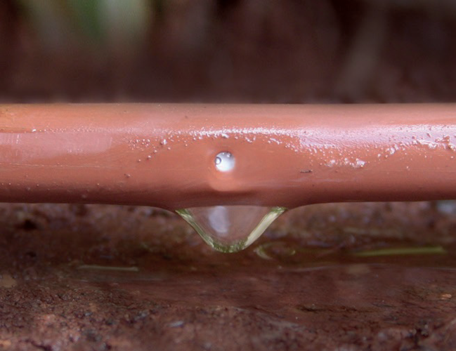 Vitavia Tropfschlauch 