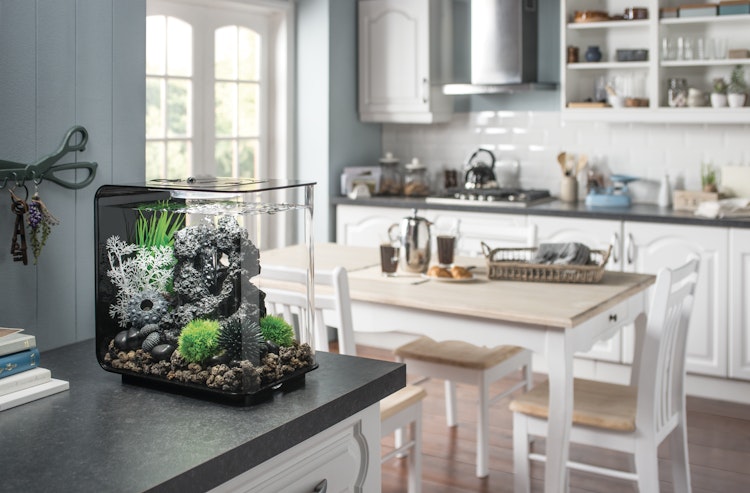 BiOrb Aquarium FLOW 15 MCR