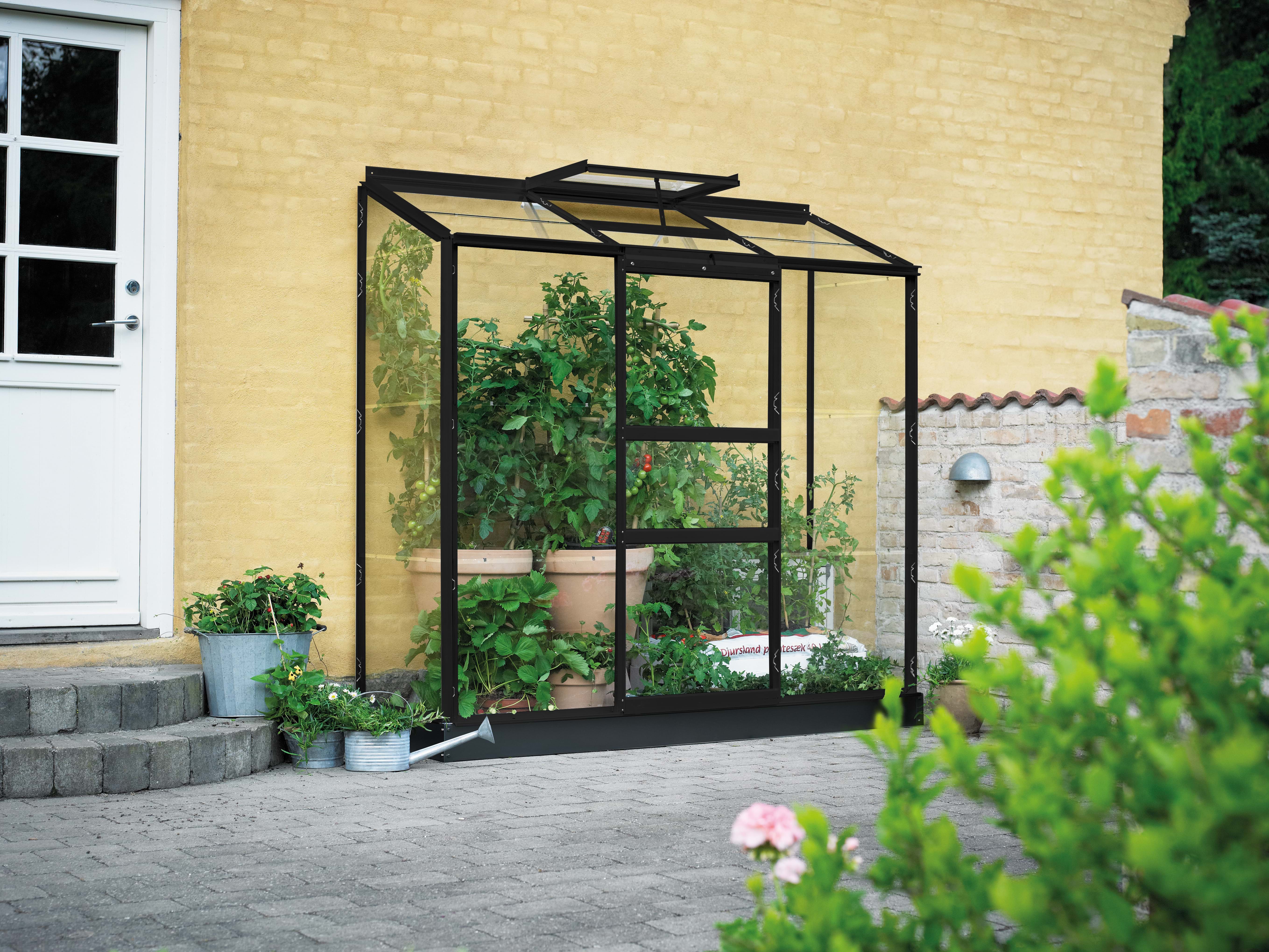 Halls Gewächshaus Altan - 0,91 m² / 1,33 m² Farbe: Schwarz