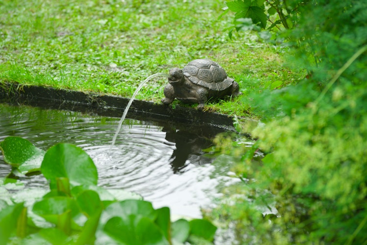 Ubbink Wasserspeier Schildkröte