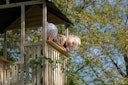 Vorschaubild EXIT Panorama 550 Holzspielhaus mit Rutsche, Matschküche und Sandkasten
