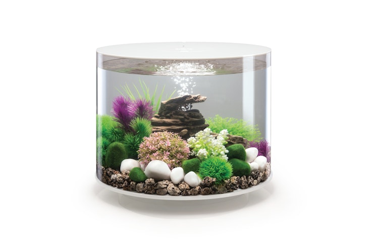 BiOrb Aquarium TUBE 35 MCR