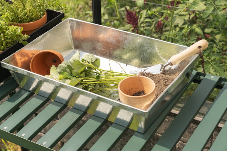 Vitavia Pflanzschale Massiv galvanisiert Alu 38,5 x 28,5 x 11,5 cm