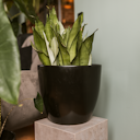 Vorschaubild Wikholm form Design Pflanzgefäß / Blumentopf 3er Set schwarz ⌀ 26 x H 27 cm; 31 x H 30 cm; 37 x H 32 cm