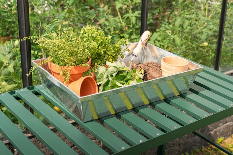 Vitavia Pflanzschale Massiv galvanisiert Alu 38,5 x 28,5 x 11,5 cm