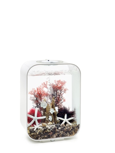 biOrb Decor Set 15L Red Forest (48442)