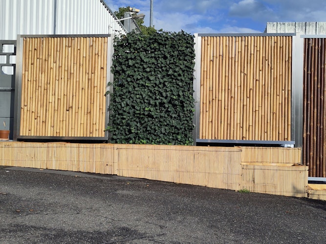 BambusBASIS Mobilane Efeu-Fertighecke Breite 120 cm