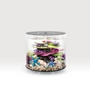 Vorschaubild BiOrb Aquarium TUBE 15 MCR