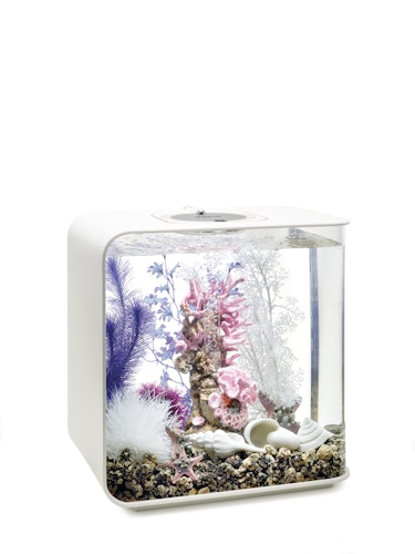 biOrb Decor Set 30L Pink Ocean (48444)