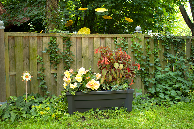 KHW Calypso Pflanzkasten auf Rollen mit Bewässerungssystem