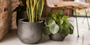 Vorschaubild Vosteen Design Blumentopf / Pflanzgefäß Terrakotta schwarz ø 22 cm x H 19 cm