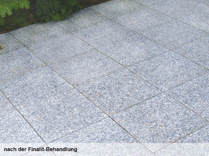 Finalit Nr. 10 Algen- und Moostilger (neutral)