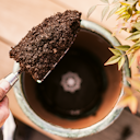 Vorschaubild Pflanzenpad mit Lavasteinen zur Vermeidung von Staunässe in Pflanzgefäßen