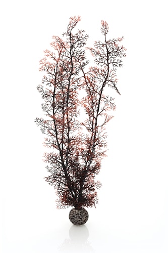 biOrb Hornkoralle extra groß dunkelrot (46075)