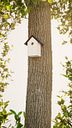 Vorschaubild Alberts® Schutzspitzdach für Futterhaus