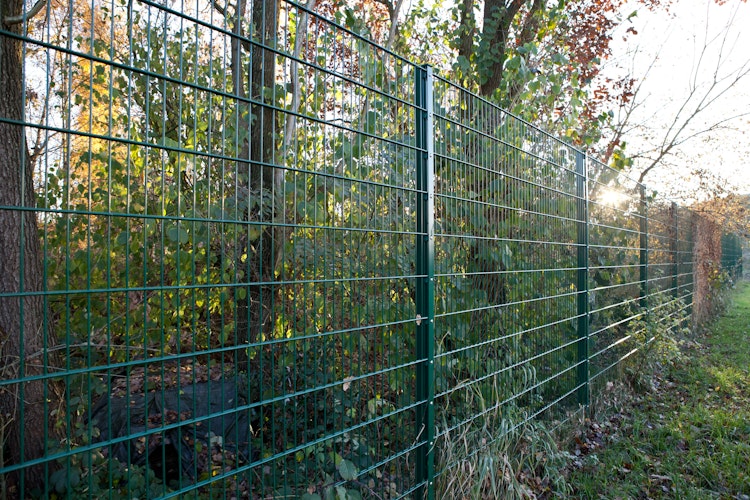 dz Doppelstabmatte MAX 8/6/8