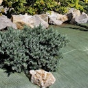 Vorschaubild Noor Unkrautblocker grün 105 gr/m² 0,90 x 10 m