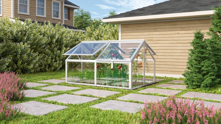 Vitavia Frühbeet Zola mit 4 Dachfenstern  B 124 x T 89 x H 71 cm