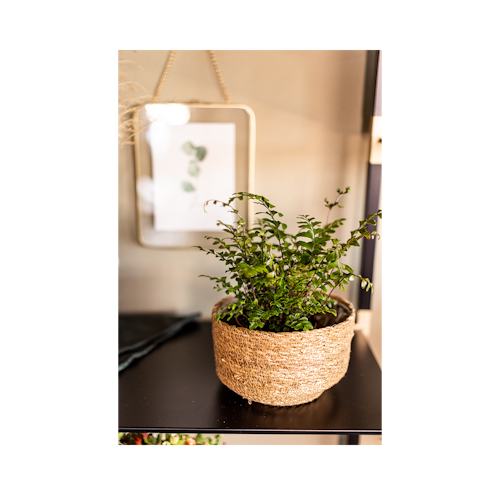 Wikholm form Design Pflanzgefäß / Blumentopf Jute 2er Set ⌀ 19 x H 14 cm, 23 x H 15 cm