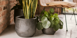 Vosteen Design Blumentopf / Pflanzgefäß Terrakotta schwarz ø 28 cm x H 24 cmZubehörbild