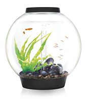 BiOrb Aquarium CLASSIC 60 MCR