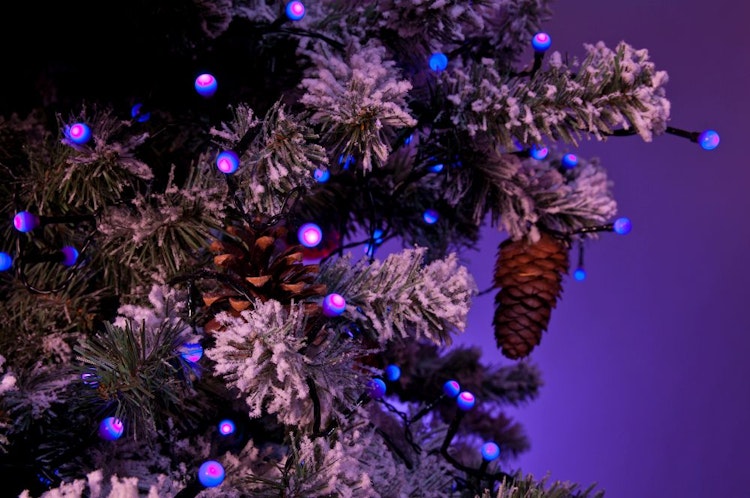 Konstsmide Weihnachtsbeleuchtung  LED Lichterkette 80 purpurfarene runde Dioden