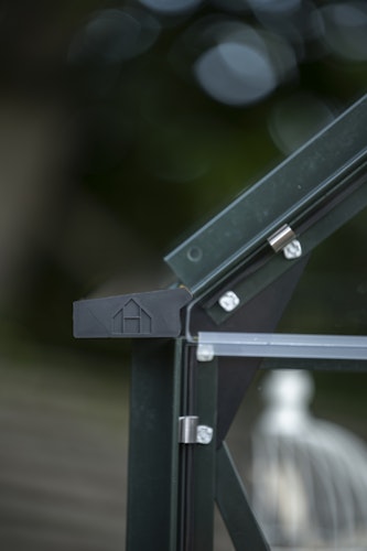 Halls Gewächshaus Icon Pflanzenhaus 6/8 - 7,3 m² / 9,7 m²