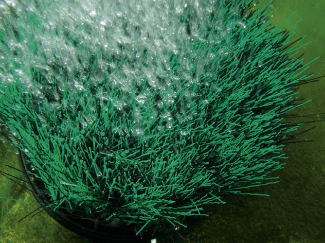 Oase Teichbelüfter OxyTex 1000