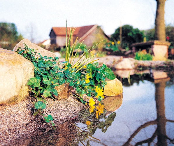 Steinfolie sand - feste Größe