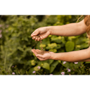 Vorschaubild Restberry´s Bio Dünger