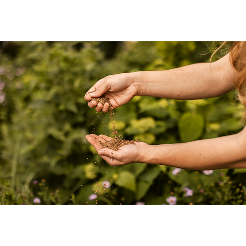 Restberry´s Bio Dünger