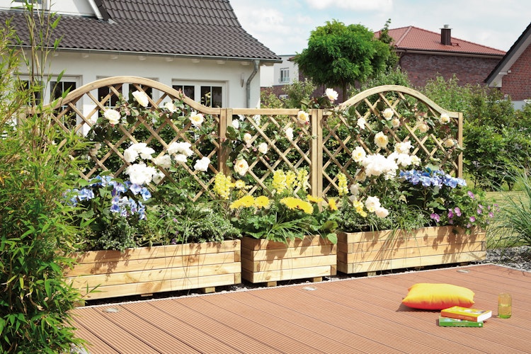 TraumGarten Einsatz für CORA 60x40 cm