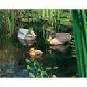 Vorschaubild Heissner Schwimmente "Stockente", 36cm (666)