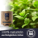 Vorschaubild Liebenstein Bio Mentholkristalle für die Sauna (100g)