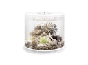 Vorschaubild BiOrb Aquarium TUBE 35 MCR
