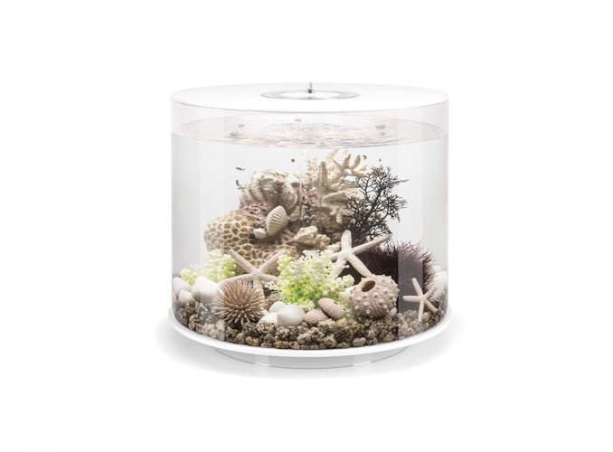 BiOrb Aquarium TUBE 35 MCR