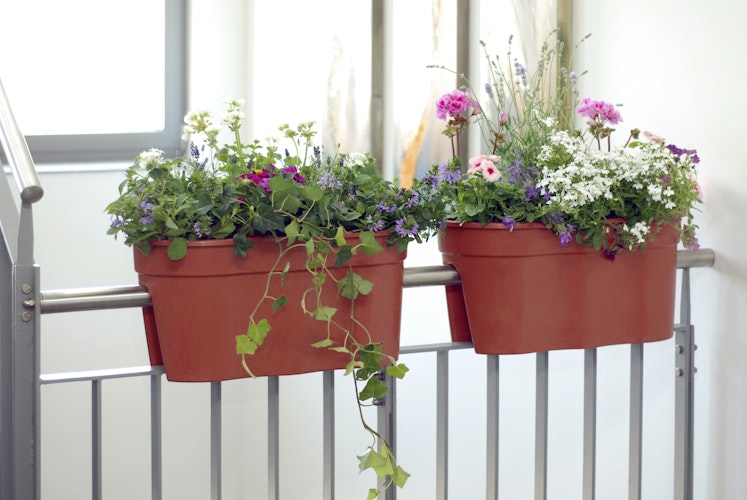 KHW Flowerclip XL, 2er Set