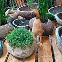 Vorschaubild BambusBASIS Pflanzentopf Flussstein