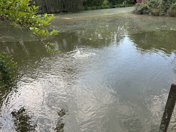 Kundenbild